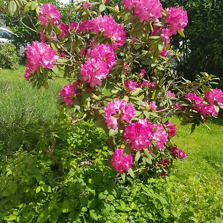 Διαμέρισμα Im Rurtal *