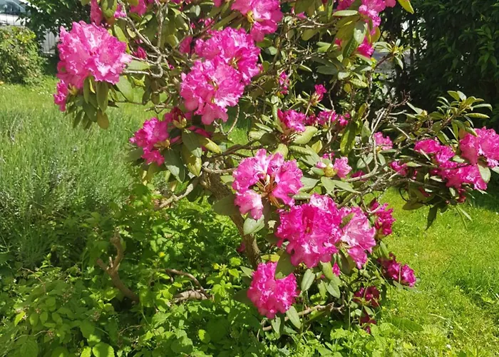 Appartamento Im Rurtal *